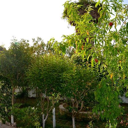 Kostas' Garden Apartment Roda  Luaran gambar