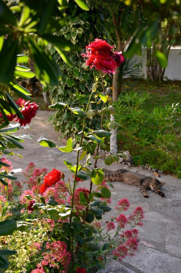 Kostas' Garden Apartment Roda  Luaran gambar